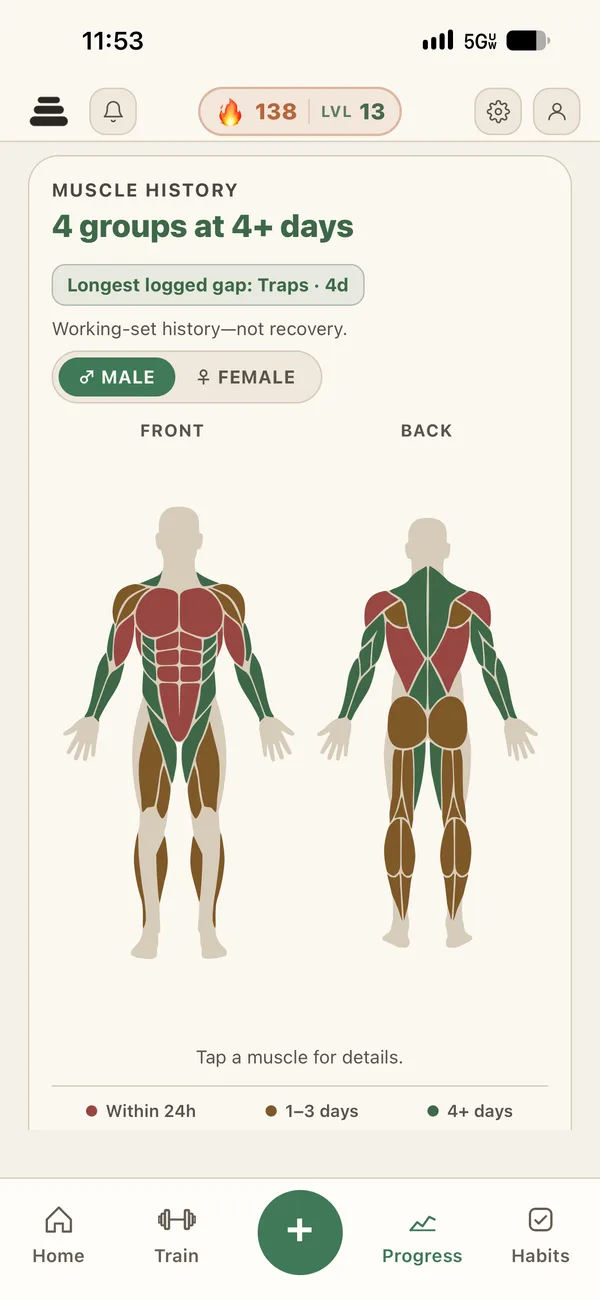 Front and back muscle map showing when each area was last trained