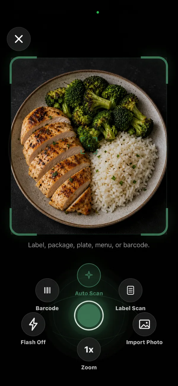 Camera view scanning a plate of chicken, rice, and broccoli