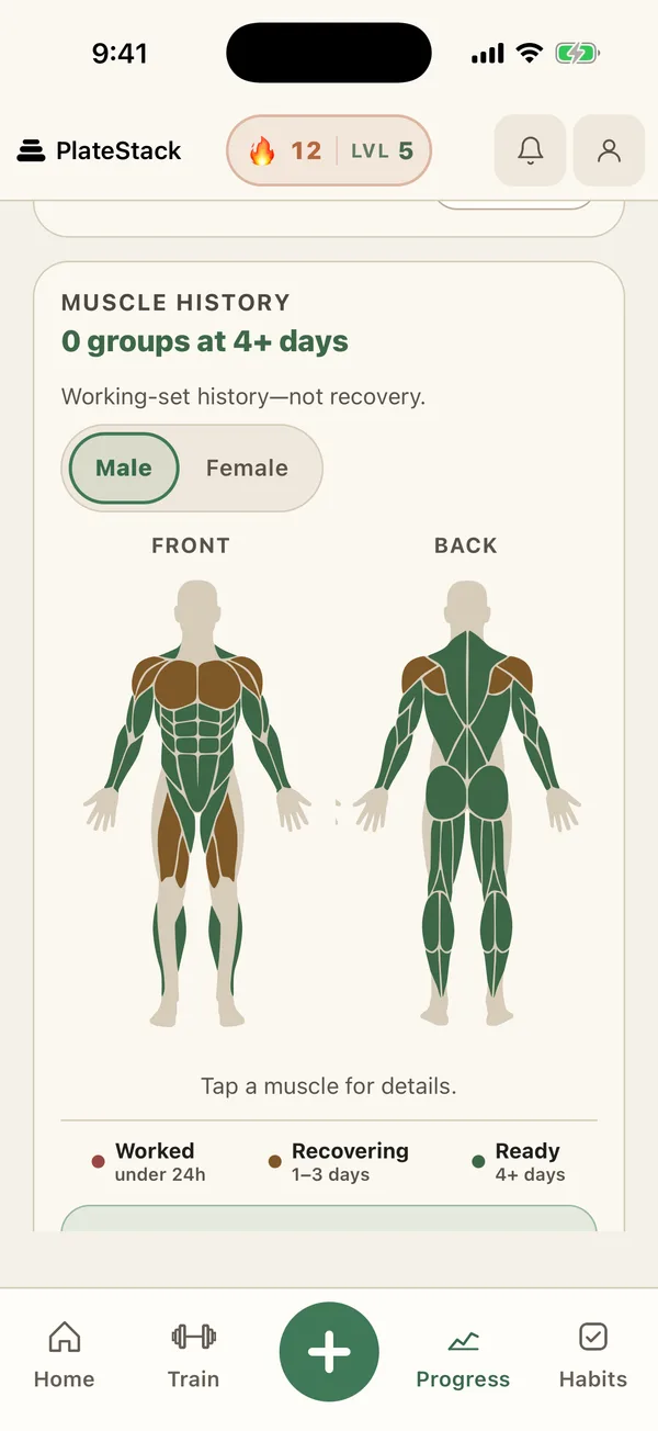 Front and back muscle map coloured by recency, with a key for worked, recovering, and ready