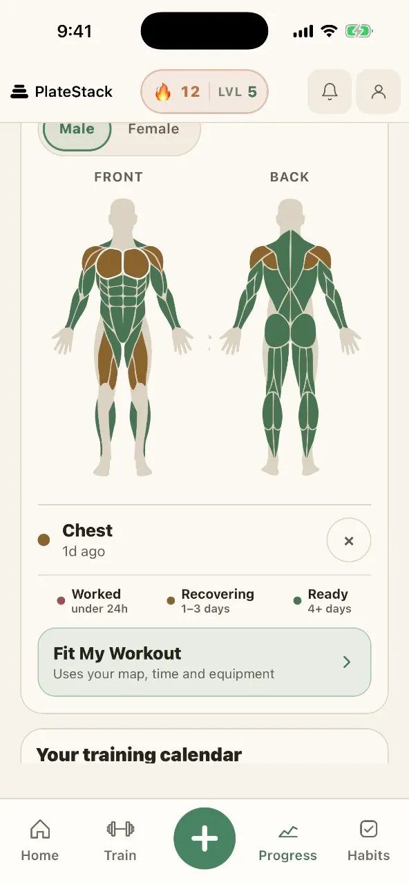 Poster frame: scrolling PlateStack’s strength balance to the front and back muscle map, then tapping chest and quads to see when each was last trained
